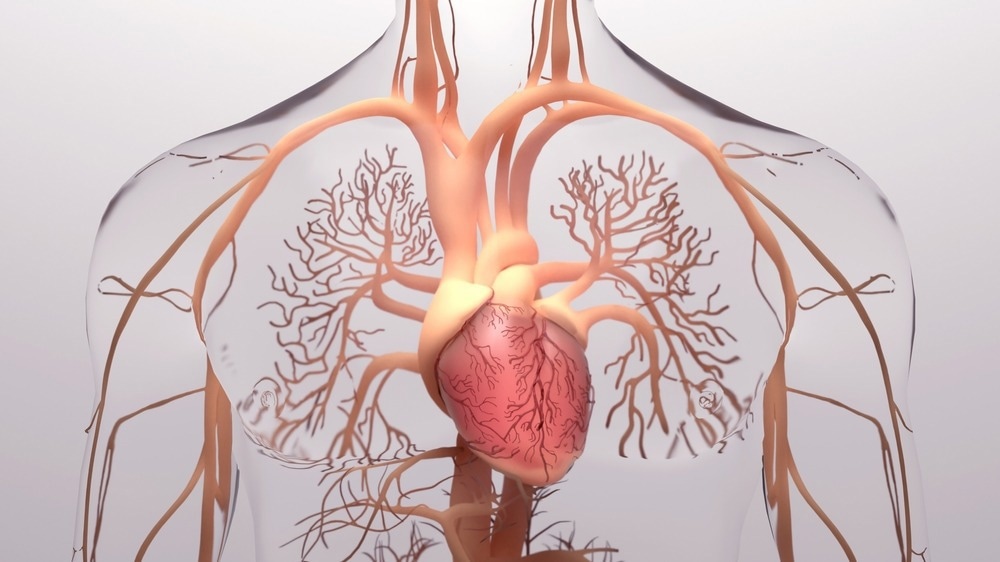 Study: Monkeypox Associated myocarditis: A case report. Image Credit: Design_Cells / Shutterstock.com