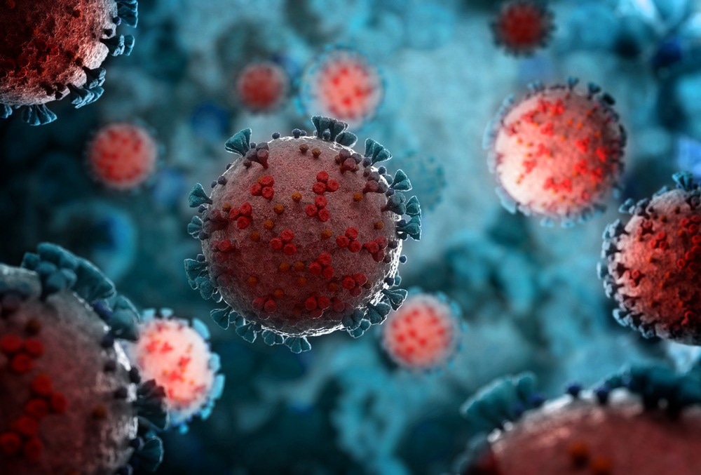 Study: Plasma after both SARS-CoV-2 boosted vaccination and COVID-19 potently neutralizes BQ1.1 and XBB. Image Credit: sdecoret/Shutterstock