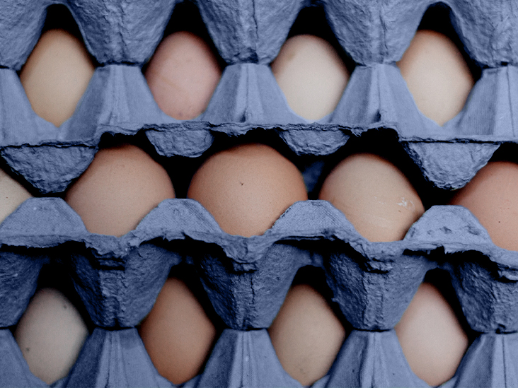 Un petit-déjeuner riche en protéines peut aider à prévenir la suralimentation et l'obésité