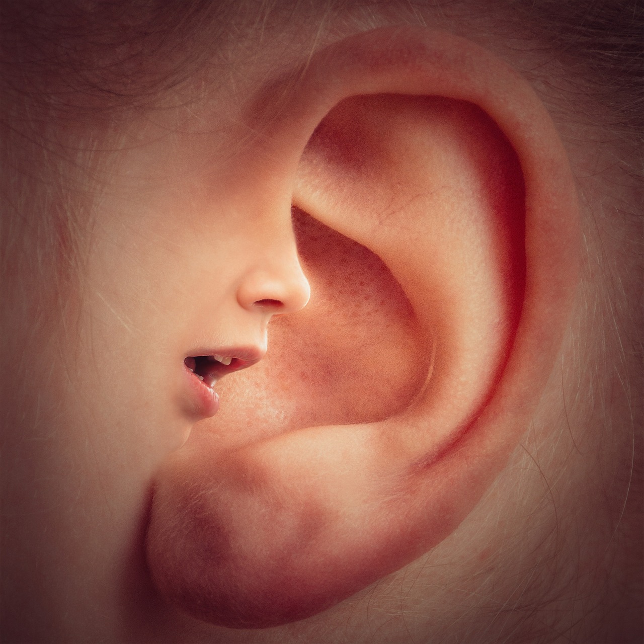 Comment choisir son audioprothésiste ?