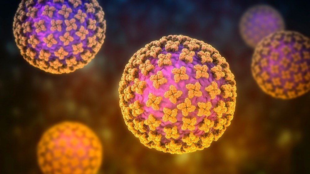 Study: Kiwira Virus, a Newfound Hantavirus Discovered in Free-tailed Bats (Molossidae) in East and Central Africa. Image Credit: Kateryna Kon / Shutterstock.com