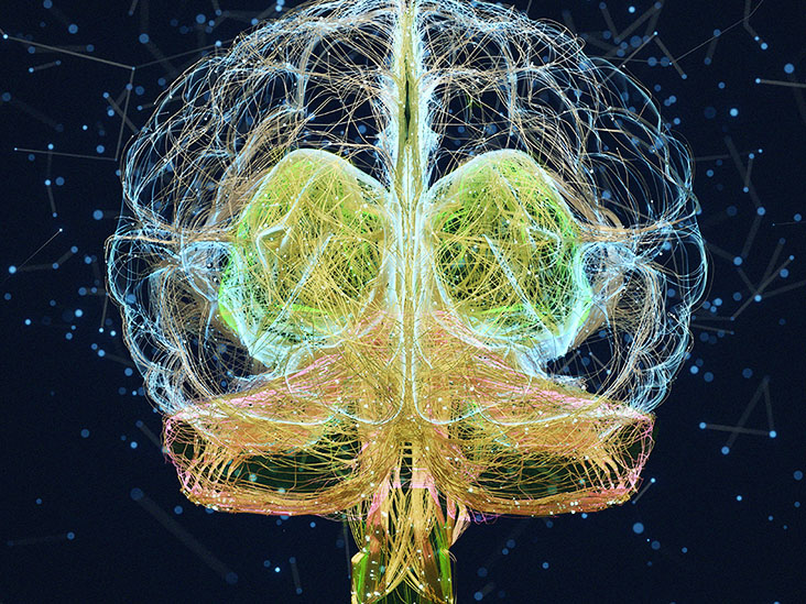De faibles niveaux de vitamine D dans le cerveau liés à un risque accru de démence