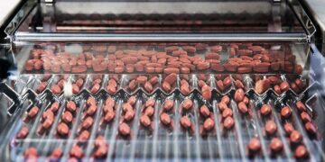 Diabète de type 2 : la metformine peut réduire considérablement le risque de remplacement articulaire