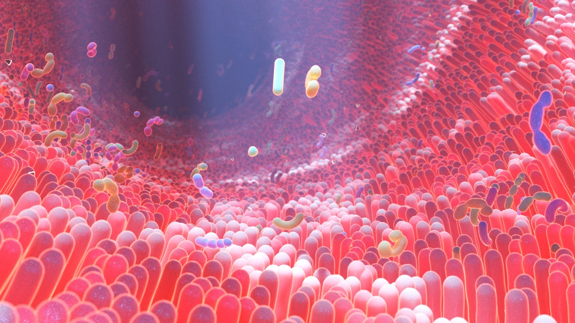Study: The gut microbiome: linking dietary fiber to inflammatory diseases. Image Credit: Alpha Tauri 3D Graphics/Shutterstock