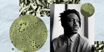 Les bactéries intestinales jouent-elles un rôle dans la dépression ?