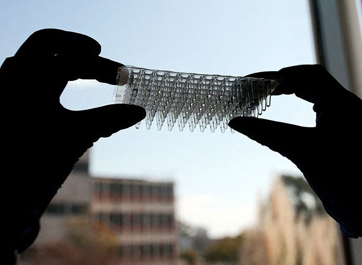 Les humains continuent d'évoluer avec l'émergence de nouveaux gènes
