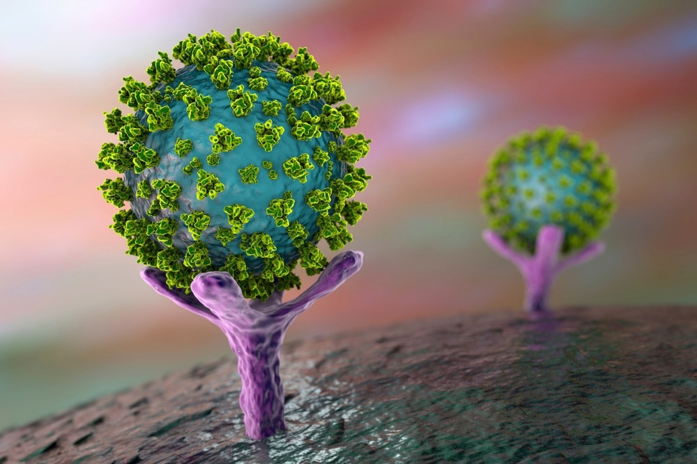 Study: Identification of anti-SARS-CoV-2 agents based on flavor/fragrance compositions that inhibit the interaction between the virus receptor binding domain and human angiotensin converting enzyme 2. Image Credit: Kateryna Kon/Shutterstock