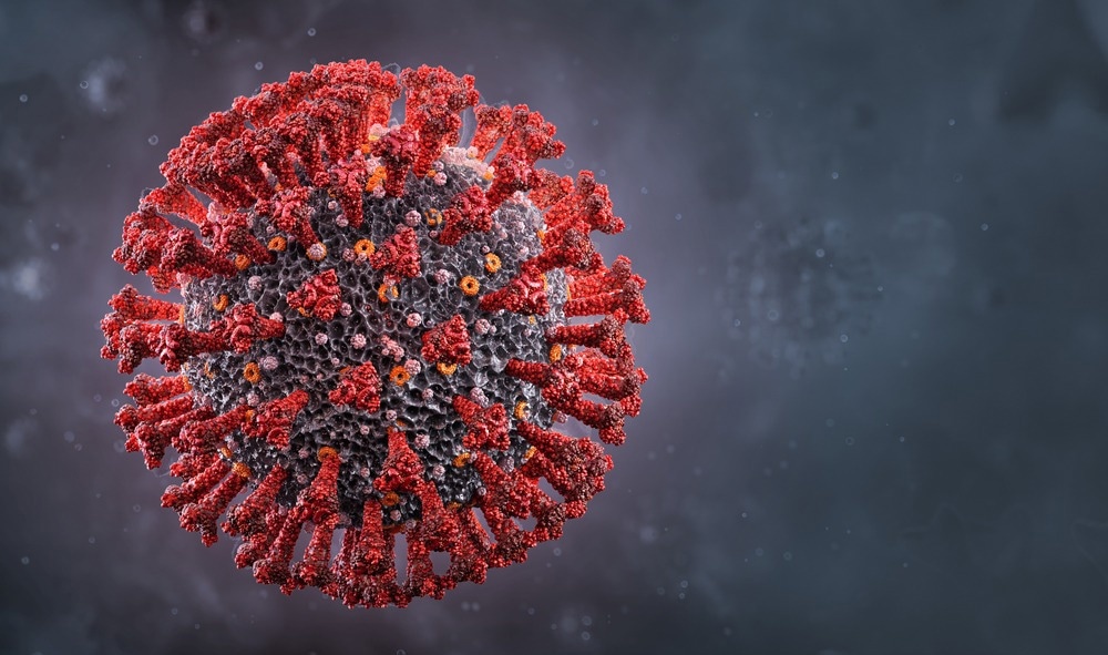 Study: Fcγ receptor-dependent antibody effector functions are required for vaccine protection against infection by antigenic variants of SARS-CoV-2. Image Credit: Corona Borealis Studio/Shutterstock