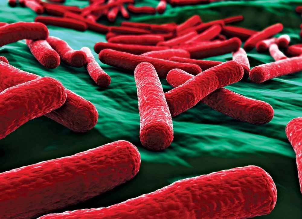 Microbiomes dans l'appareil reproducteur féminin liés à la grossesse après l'utilisation d'ART