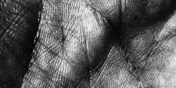Perte de mémoire liée à l'âge : peut-on la prévenir ou même l'inverser ?