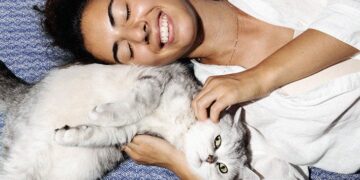 Pourquoi les humains aiment-ils les chats, selon la science, et est-ce sain ?