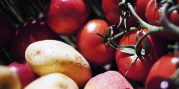 Traitement du cancer : composé trouvé dans les pommes de terre, les tomates peuvent conduire à de nouveaux médicaments