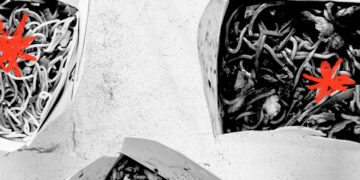 Trop de sodium, pas assez de potassium peut entraîner un déclin cognitif
