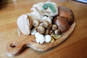 Mycothérapie : soutenir le système immunitaire