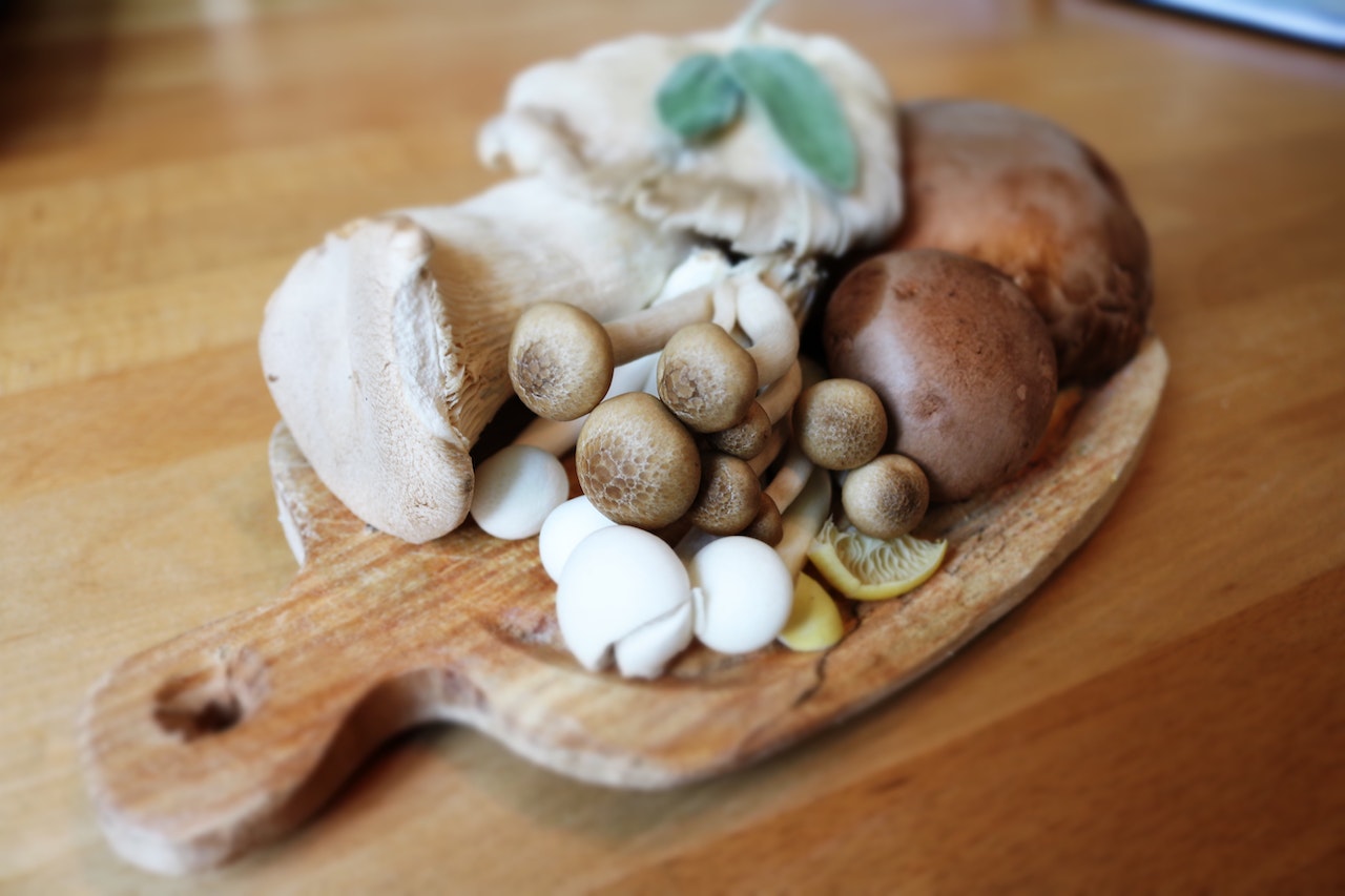 Mycothérapie : soutenir le système immunitaire