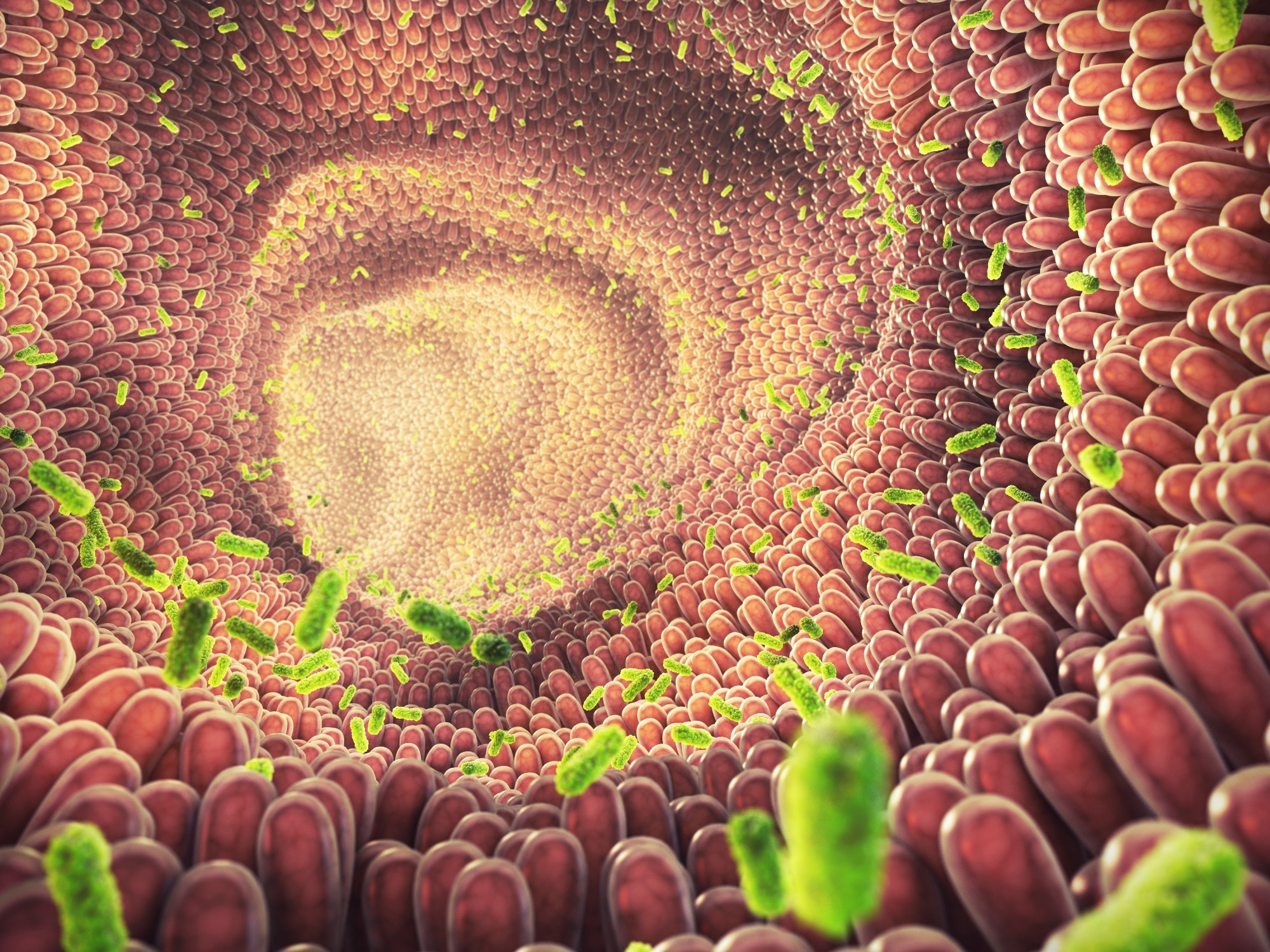 Study: Genome-scale metabolic reconstruction of 7,302 human microorganisms for personalized medicine. Image Credit: nobeastsofierce/Shutterstock