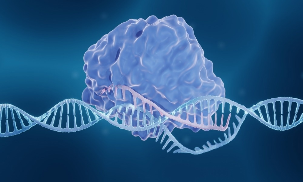 Image Credit: ART-ur/Shutterstock.com