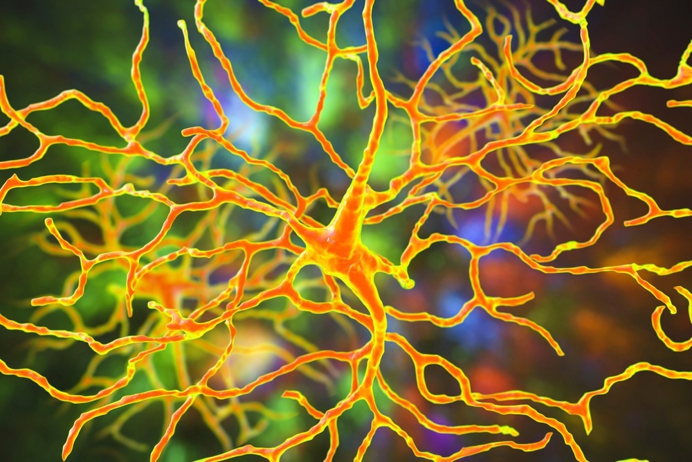 Study: Re-formation of synaptic connectivity in dissociated human stem cell-derived retinal organoid cultures. Image Credit: Kateryna Kon/Shutterstock