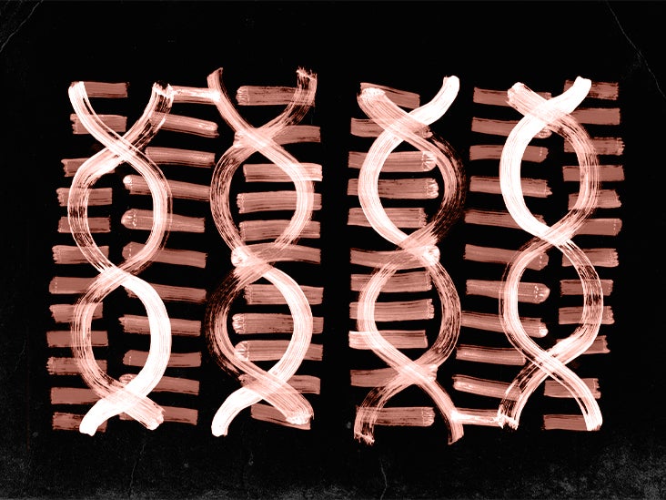 Maladie cardiaque : l'édition de gènes CRISPR peut réparer les tissus endommagés après une crise cardiaque