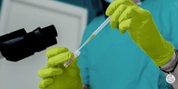 Un vaccin expérimental contre le cancer traite et prévient à la fois le cancer du cerveau chez la souris