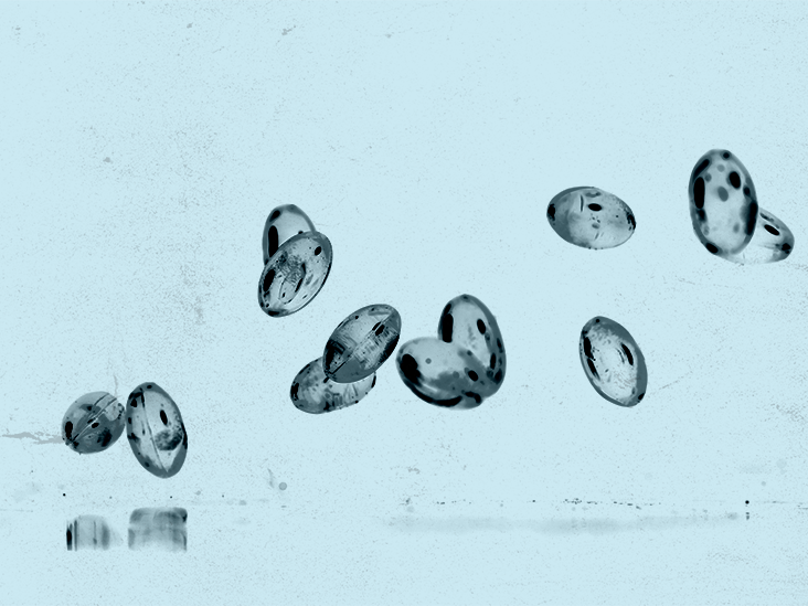 Vitamine D : le poids a-t-il un impact sur les avantages que nous en tirons ?