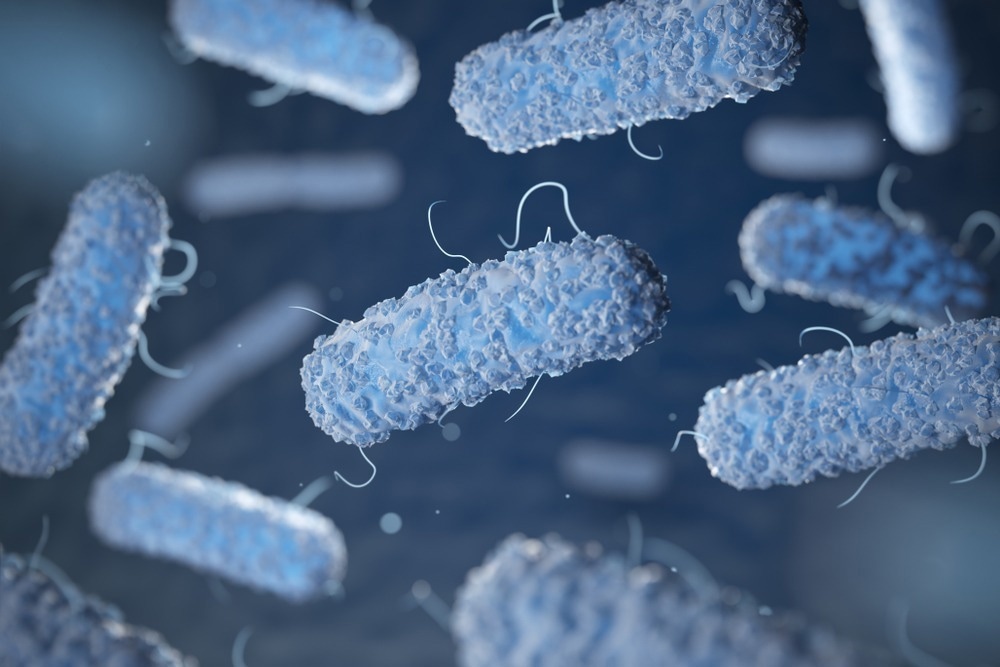 Study: Outer membrane vesicles: A bacterial-derived vaccination system. Image Credit: Maxx-Studio/Shutterstock