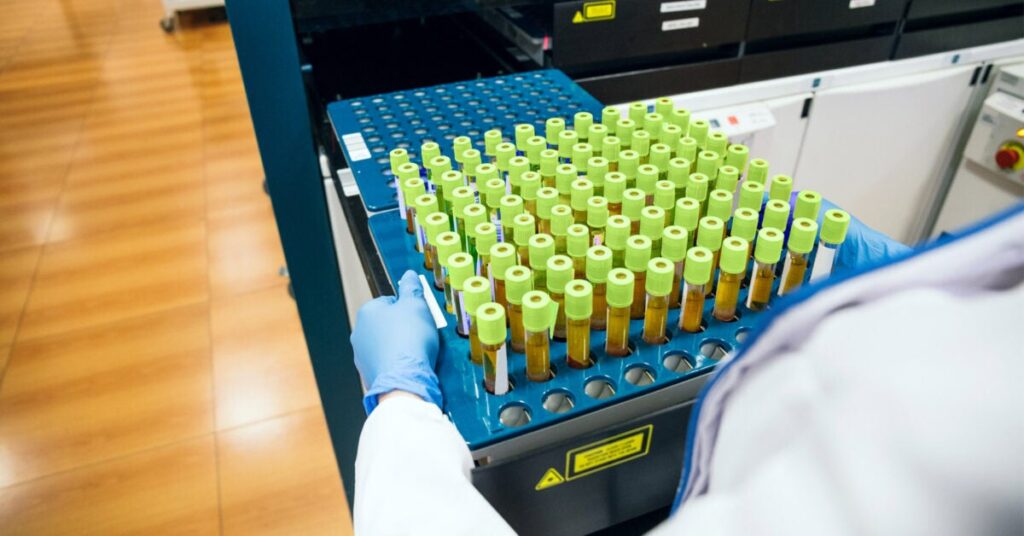 Cancer du côlon : la réduction des niveaux d'ammoniac augmente la réponse au traitement de la tumeur