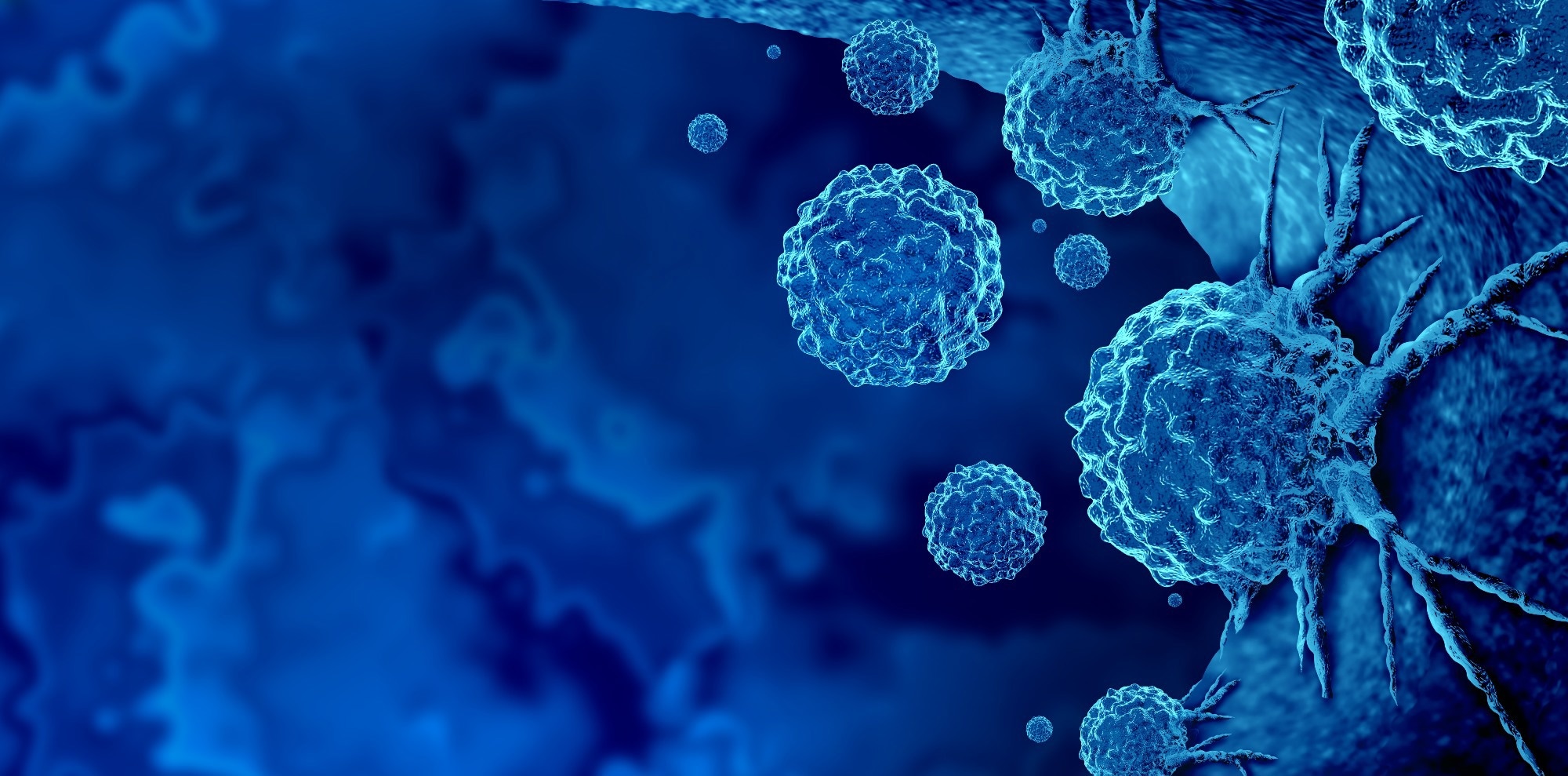 Étude : L'expression de MHC I et CXCL10 contrôlée par YAP potentialise l'immunité antitumorale indépendamment de la signalisation IFNγ. Crédit d'image : Lightspring/Shutterstock Étude : L'expression de MHC I et CXCL10 contrôlée par YAP potentialise l'immunité antitumorale indépendamment de la signalisation IFNγ. Crédit d'image : Lightspring/Shutterstock