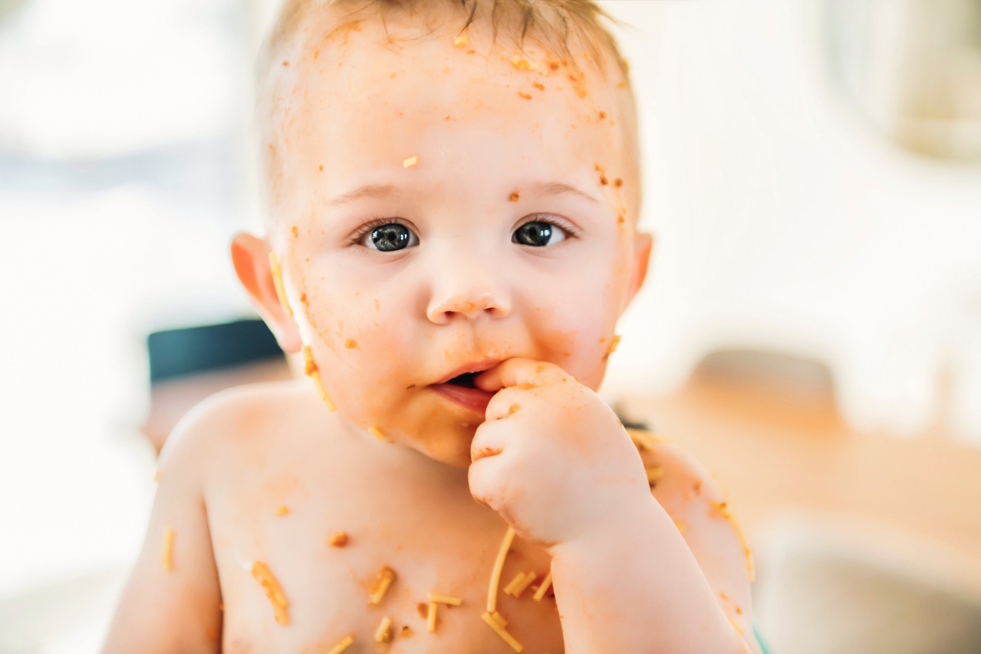 La recherche examine si la viande ou les aliments complémentaires à base de produits laitiers affectent le microbiote intestinal et la croissance