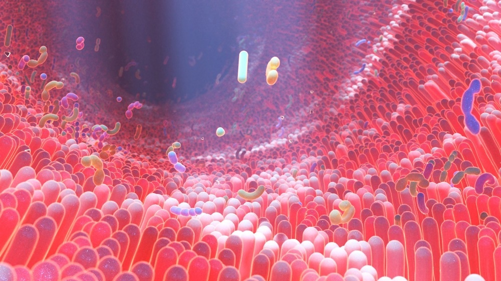 Study: The gut microbiota and metabolome are associated with diminished COVID-19 vaccine-induced antibody responses in immunosuppressed inflammatory bowel disease patients. Image Credit: Alpha Tauri 3D Graphics/Shutterstock