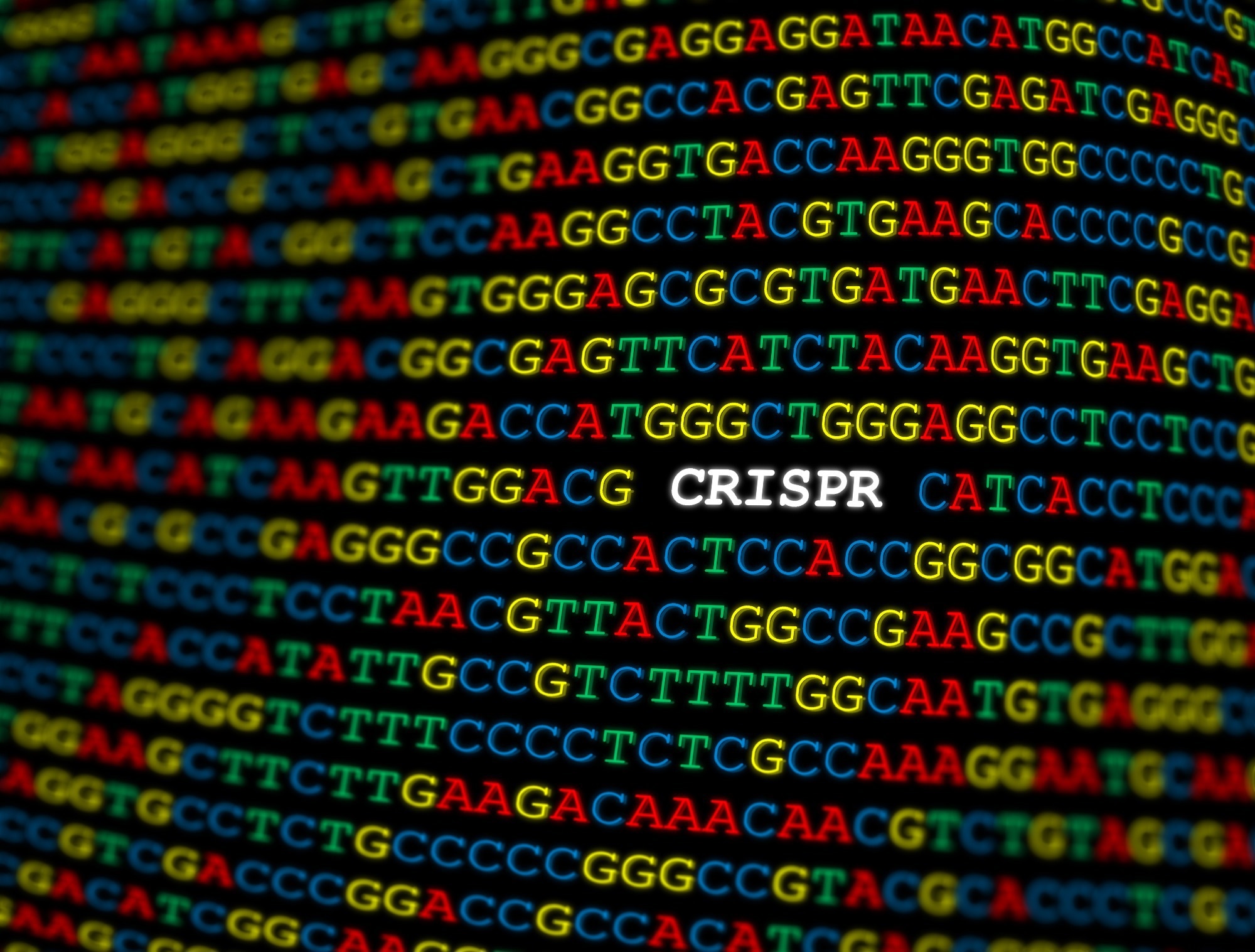 Study: Efficient in vivo genome editing prevents hypertrophic cardiomyopathy in mice. Image Credit: Catalin Rusnac / Shutterstock