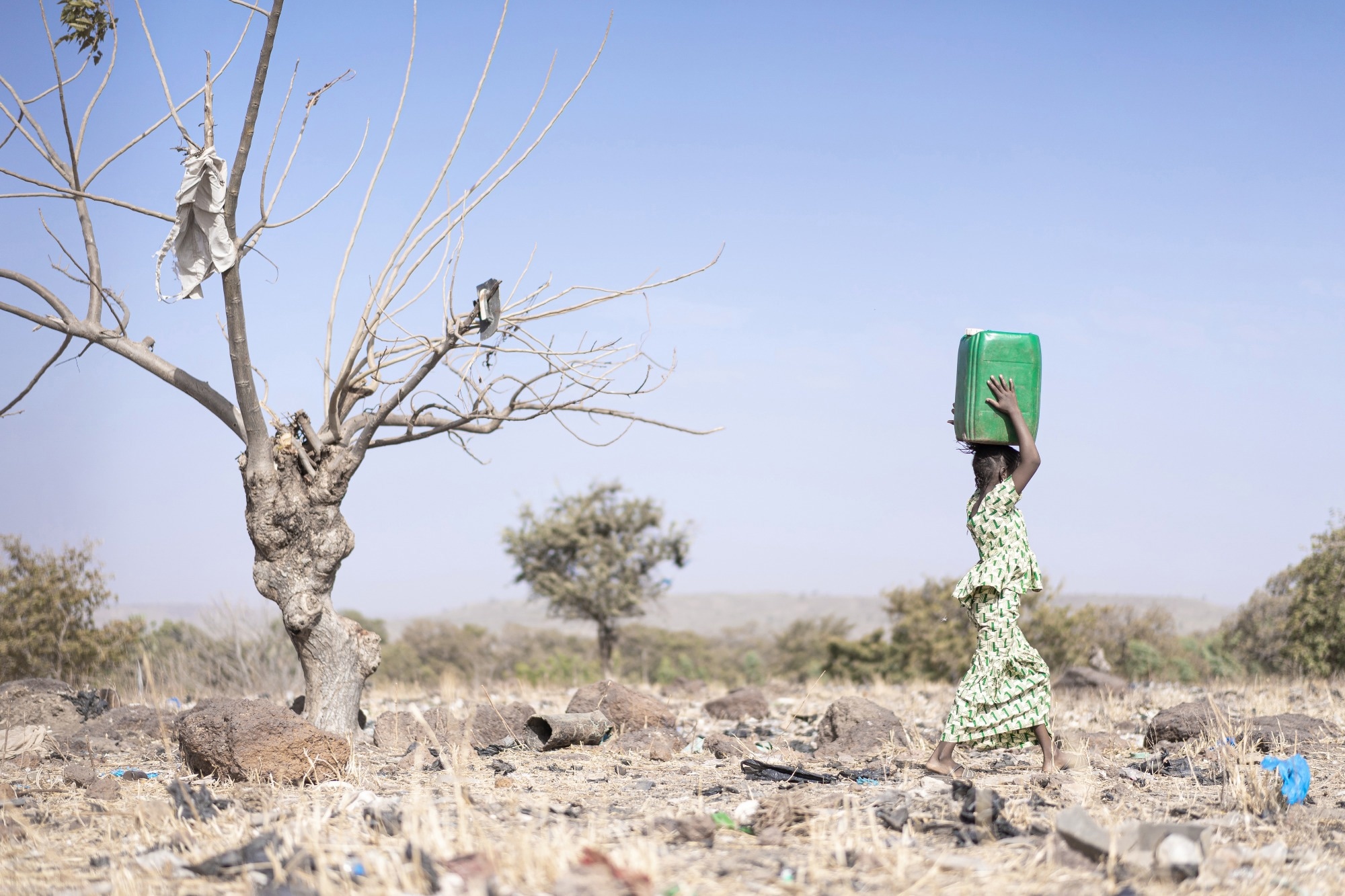 Nursing Outlook: Climate change and the adverse impact on the health and well-being of women and girls from the Women