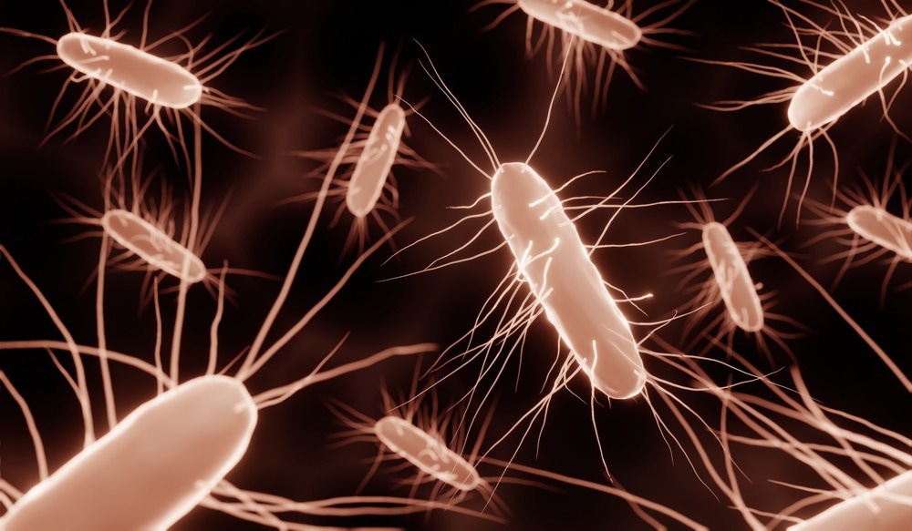 Study: Safety and Tolerability of SER-109 as an Investigational Microbiome Therapeutic in Adults With Recurrent Clostridioides difficile Infection. Image Credit: ART-ur/Shutterstock