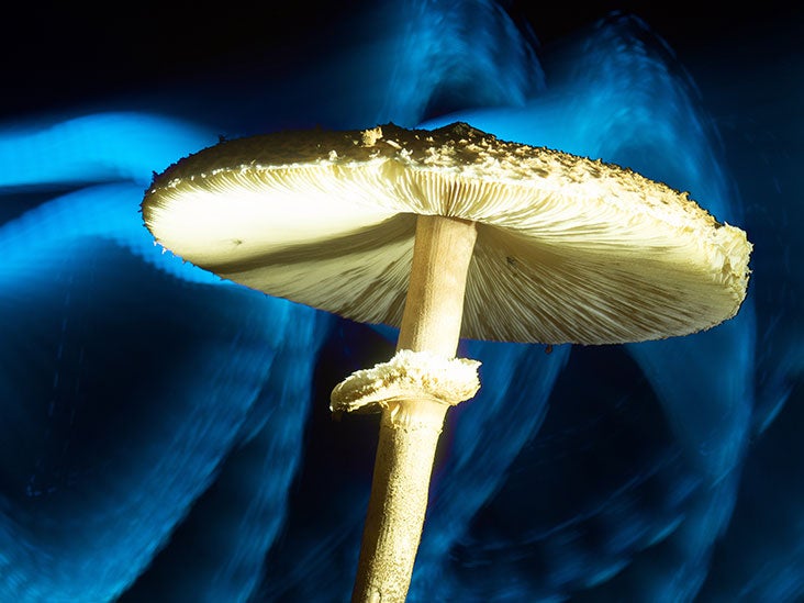 Traitements de santé mentale : l'Australie autorise la MDMA, la psilocybine, mais qu'est-ce que cela signifie ?