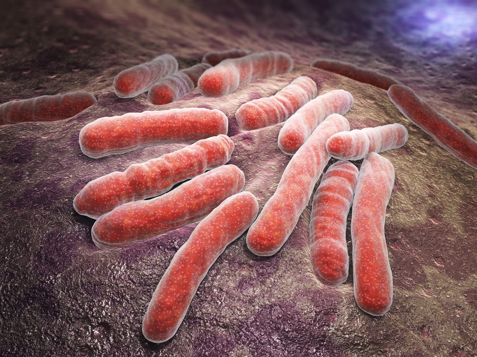 Editorial: Ending tuberculosis in Europe - resetting the course in the post-COVID-19 era. Image Credit: Tatiana Shepeleva / Shutterstock