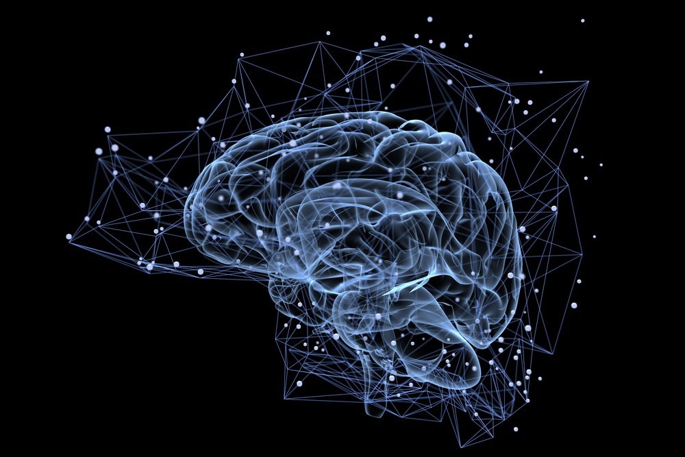 Image Credit: Tatiana Shepeleva/Shutterstock.com