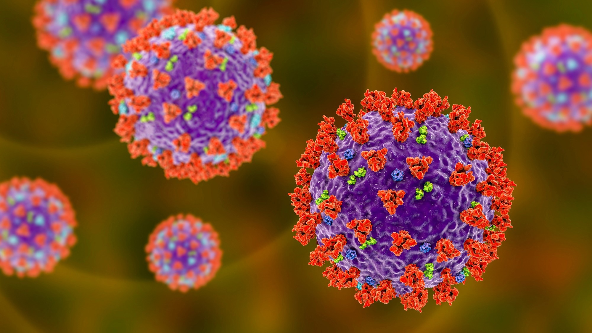 Study: Convergent Evolution of A-Lineage (Clade 19B) SARS-CoV-2 Spike Sequences with B-Lineage Variants of Concern Affects Virus Replication in a Temperature-Dependent Manner on Human Nasal Epithelial Cell Cultures. Image Credit: Kateryna Kon/Shutterstock
