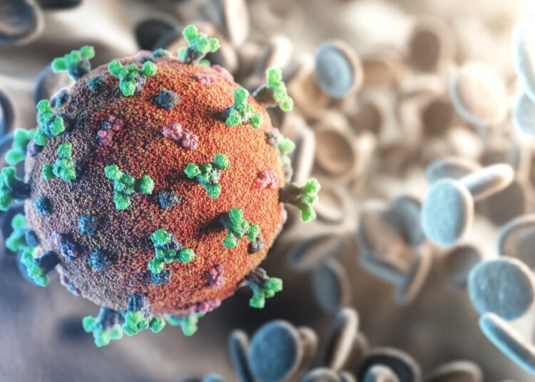 Study: Hybrid immunity elicits potent cross-variant ADCC against SARS-CoV-2 through a combination of anti-S1 and S2 antibodies. Image Credit: creativeneko/Shutterstock