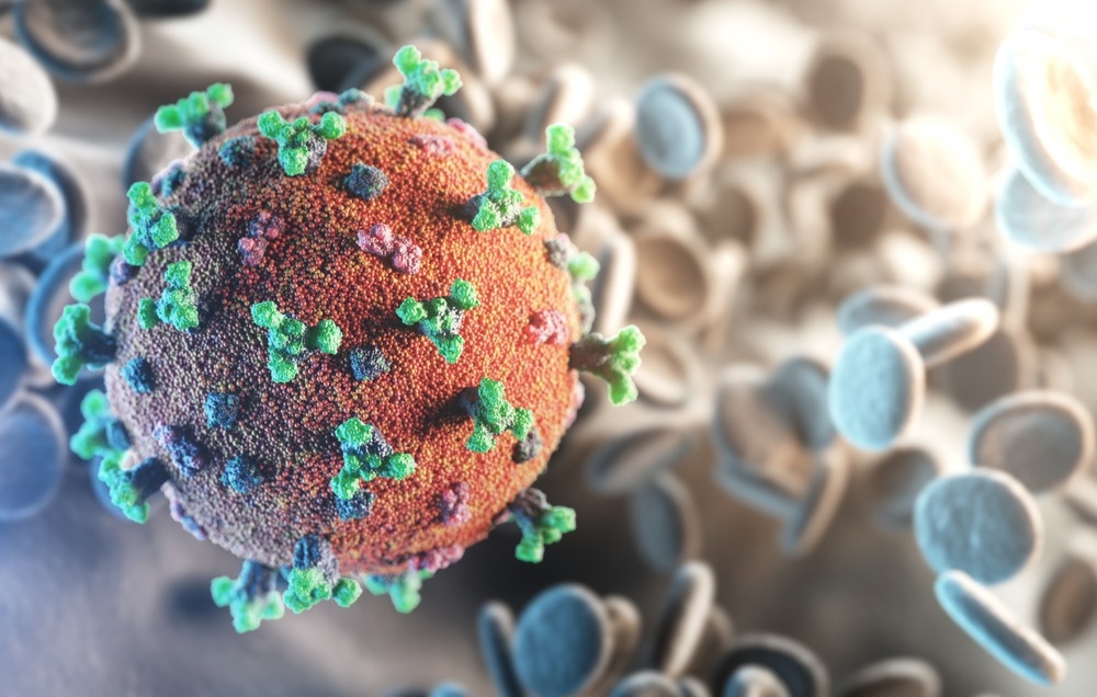 Étude : L'immunité hybride suscite une puissante ADCC croisée contre le SRAS-CoV-2 grâce à une combinaison d'anticorps anti-S1 et S2.  Crédit d'image : creativeneko/Shutterstock