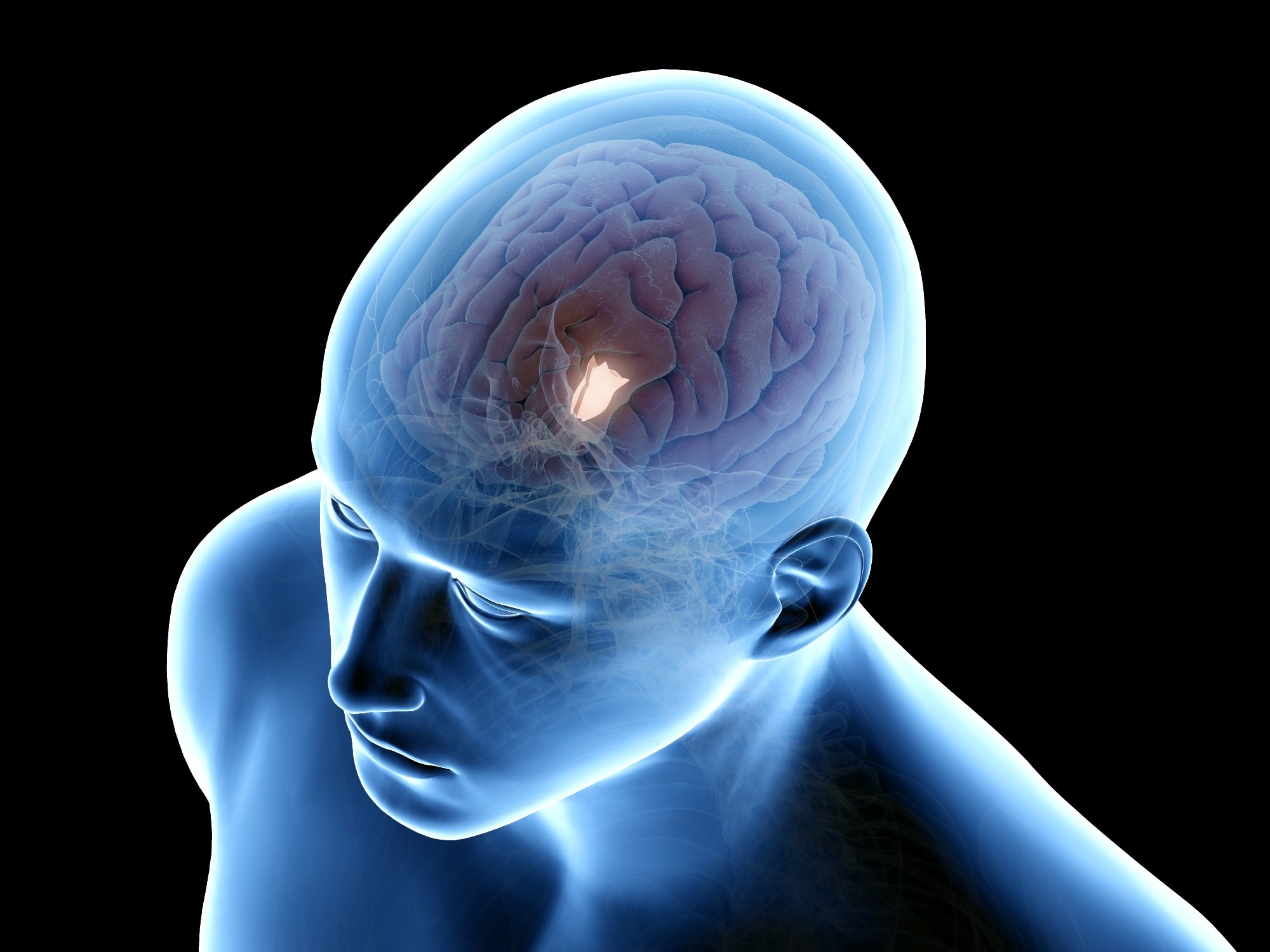 Study: Hypothalamic Menin regulates systemic aging and cognitive decline. Image Credit: SciePro / Shutterstock