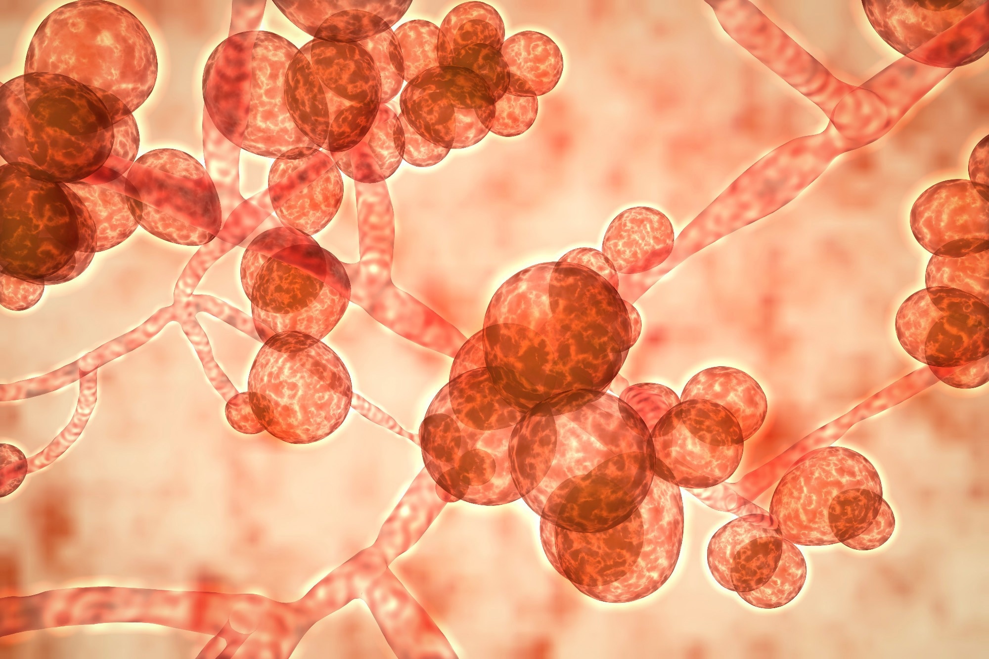 La tolérance aux antifongiques chez Candida auris contribue à l'échec du traitement