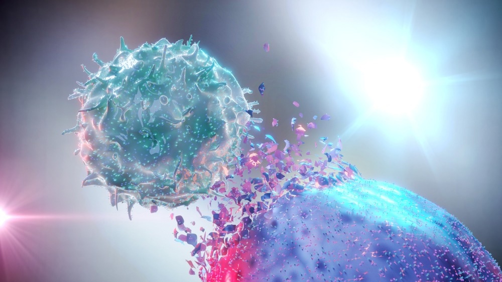 Study: Multi-organ single-cell analysis reveals an on/off switch system with potential for personalized treatment of immunological diseases. Image Credit: Alpha Tauri 3D Graphics/Shutterstock