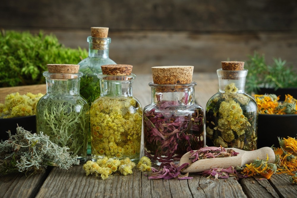 Study: Ethnobotanical survey of medicinal plants used by indigenous knowledge holders to manage healthcare needs in children. Image Credit: Chamille White/Shutterstock