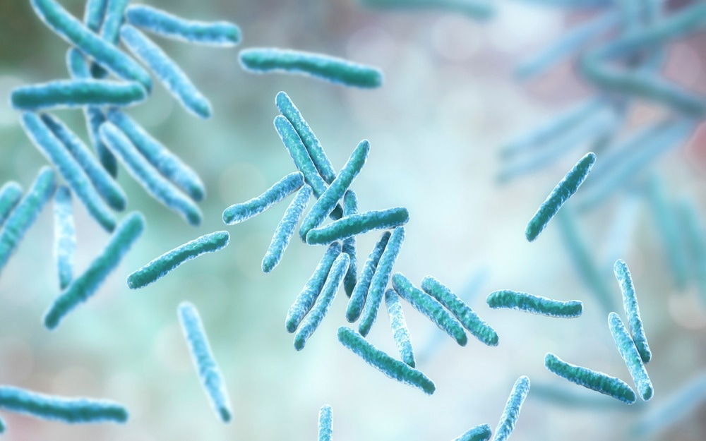 Rapid communication: Monitoring the progress achieved towards ending tuberculosis in the European Union/European Economic Area, 2018 to 2021