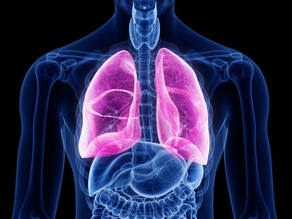Study: Innate immune cell activation causes lung fibrosis in a humanized model of long COVID. Image Credit: SciePro/Shutterstock