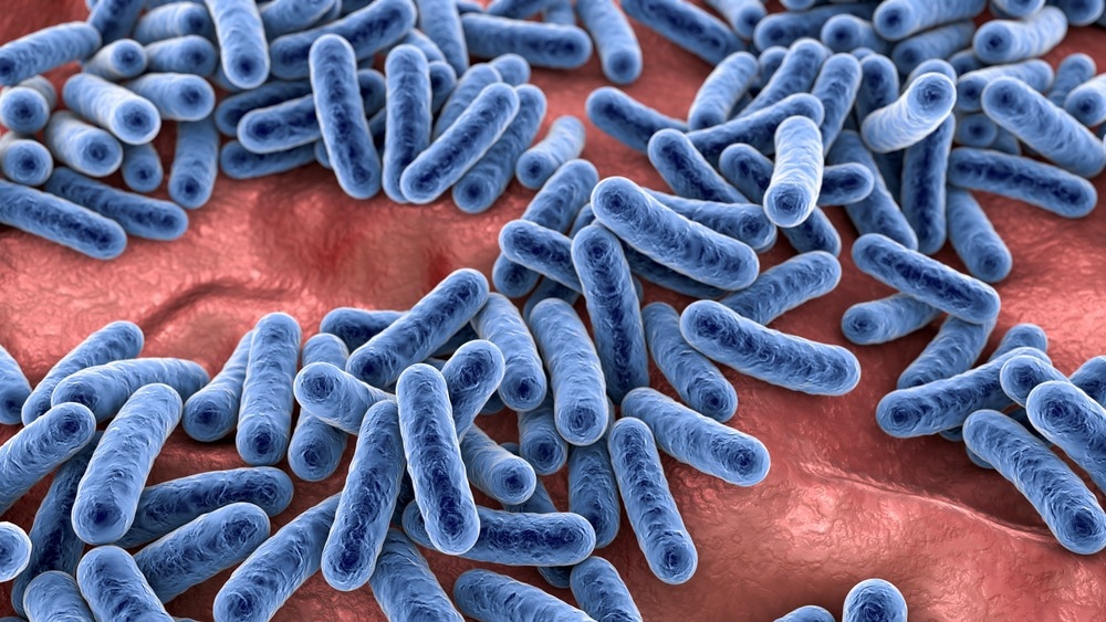 Study: Sexual behavior shapes male genitourinary microbiome composition. Image Credit: Kateryna Kon/Shutterstock.com