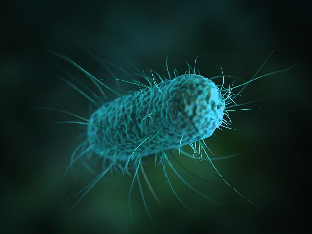 Une nouvelle approche pour analyser les E. coli zoonotiques d'origine alimentaire