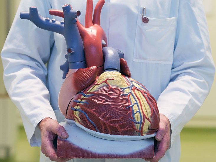 Une nouvelle cible thérapeutique pour la prévention de l'insuffisance cardiaque par sténose aortique