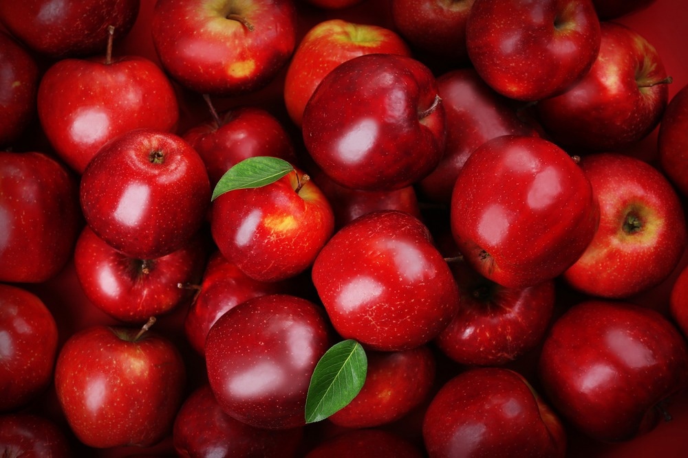 les pommes enrichies en polyphénols modifient l'expression des gènes des cellules immunitaires et la composition du microbiote fécal