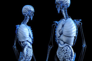 Les dangers de la sédentarité sur votre santé : comment les éviter ?